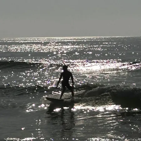 Na * Vieira de Leiria