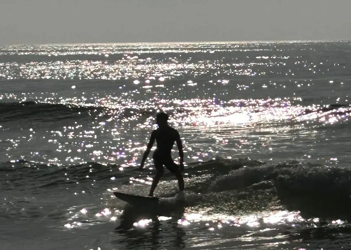 Na * فييرا دي ليريا